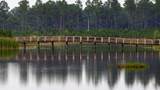 Lot 78 Wide Water Cir - Photo 12