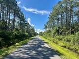 Lot 56N Peachtree Rd - Photo 8