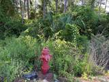 134 Spoonbill Ct - Photo 2