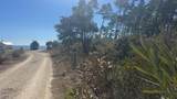 1693 St George's Ct - Photo 34