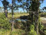 TBD Cape San Blas Rd - Photo 10