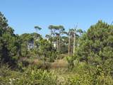 TBD Cape San Blas Rd - Photo 2
