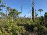 TBD Cape San Blas Rd - Photo 8