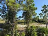 TBD Cape San Blas Rd - Photo 9