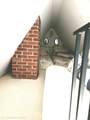 34-3 Holland Ave - Photo 17