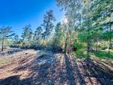 228 Lake Pristine Cir - Photo 2