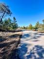 228 Lake Pristine Cir - Photo 3