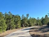 228 Lake Pristine Cir - Photo 8
