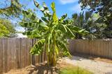 165 10th St - Photo 45