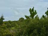 2278 Sailfish Dr - Photo 13