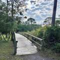 2278 Sailfish Dr - Photo 17