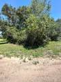 2530 Oleander Ter - Photo 3