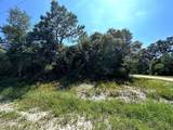 2515 Oleander Ter - Photo 2