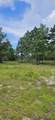 178 Lake Pristine Cir - Photo 5