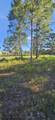 178 Lake Pristine Cir - Photo 8