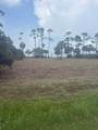 Lot 1 Cape San Blas Rd - Photo 8