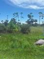 Lot 2 Cape San Blas Rd - Photo 1