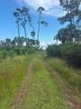Lot 2 Cape San Blas Rd - Photo 13