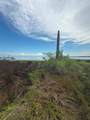 Lot 2 Cape San Blas Rd - Photo 14