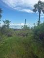 Lot 2 Cape San Blas Rd - Photo 17