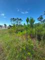 Lot 2 Cape San Blas Rd - Photo 18