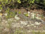 0022 Sw Mcclellan Cemetery Rd - Photo 8