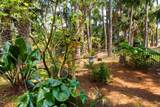 548 E Pine Ave - Photo 48