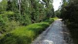 Lot 1 Dead Lakes Dr - Photo 2