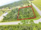 Lot 1 Borders Rd - Photo 1