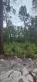 1008 Sunset Cir - Photo 4