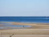500 Gulf Shore Dr - Photo 12