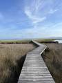 985 Cape San Blas Rd - Photo 34