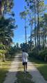985 Cape San Blas Rd - Photo 39