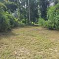 Lot 1 Donaldson Williams Rd - Photo 1