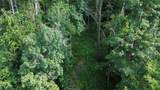 Lot 1 Donaldson Williams Rd - Photo 6