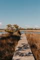 167 Timber Island Rd - Photo 37