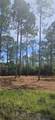 178 Baywood Dr - Photo 3
