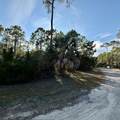 1259 E Gulf Beach Dr - Photo 1