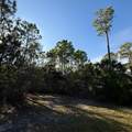 1259 E Gulf Beach Dr - Photo 12