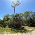 1259 E Gulf Beach Dr - Photo 3