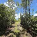 1259 E Gulf Beach Dr - Photo 8
