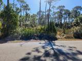 1663 Forsythia Trail - Photo 2