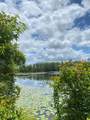 Lot 1 Land Dr - Photo 3