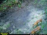 7720 Cr 381 - Photo 26