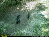 7720 Cr 381 - Photo 27