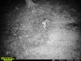 7720 Cr 381 - Photo 28