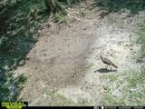 7720 Cr 381 - Photo 29