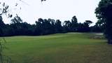 110 Anhinga Trl - Photo 1
