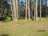 2967 Hwy 98 E - Photo 4