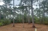 208 Royal Tern Way - Photo 1